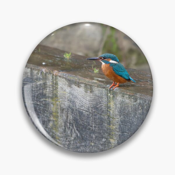 Item preview, Kingfisher (Alcedo atthis) sitting on a lock gate designed and sold by Stephen Jarman.