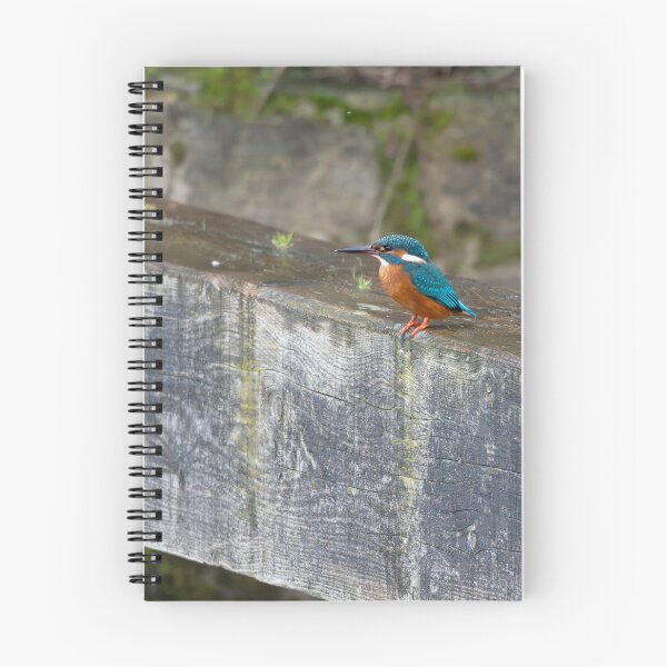 Item preview, Kingfisher (Alcedo atthis) sitting on a lock gate designed and sold by Stephen Jarman.
