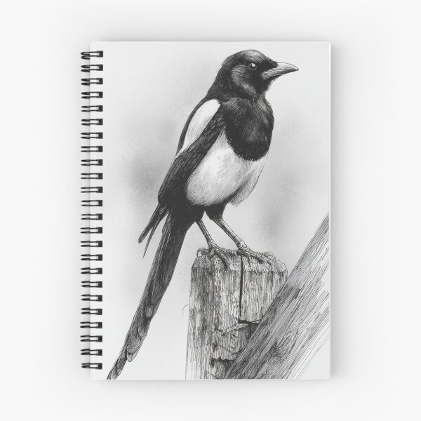 Item preview, A Magpie perched on an old fence, Birds in Motion designed and sold by CDC40.
