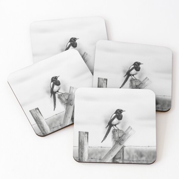 Item preview, A Magpie perched on an old fence, Birds in Motion designed and sold by CDC40.