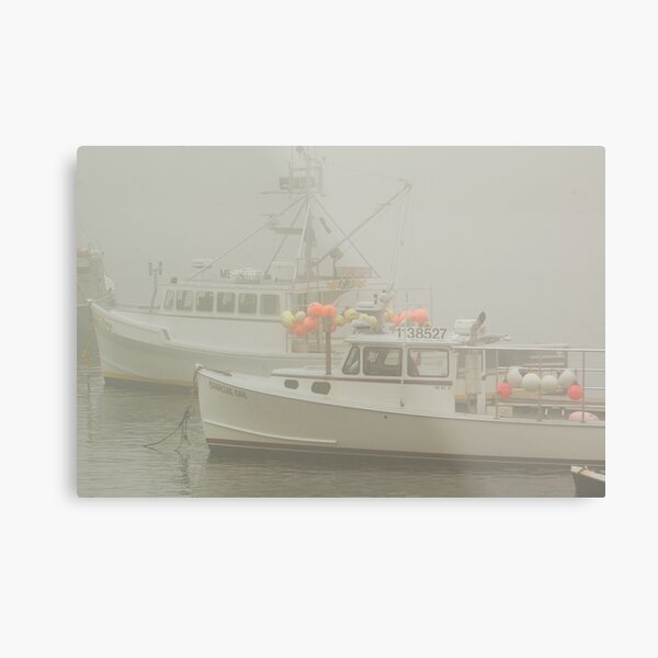 Socked in Metal Print