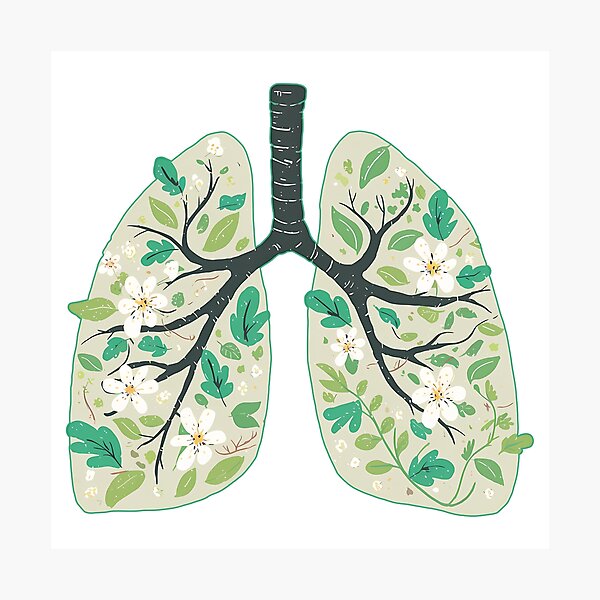 Item preview, Floral Lungs Botanical Anatomy Flowers Leaves Nature Breath Medical Art Streetwear Graphic designed and sold by DesignArtist.ia.