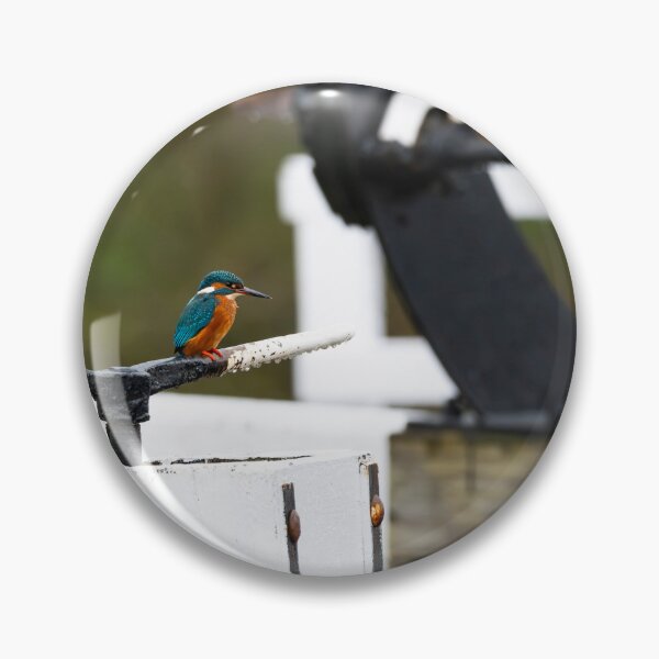 Item preview, Kingfisher (Alcedo atthis) sitting on a lock gate handle designed and sold by Stephen Jarman.