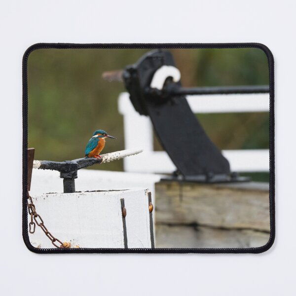 Item preview, Kingfisher (Alcedo atthis) sitting on a lock gate handle designed and sold by Stephen Jarman.