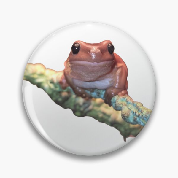 Item preview, Cute frog on a vine designed and sold by FeralFrogMother.