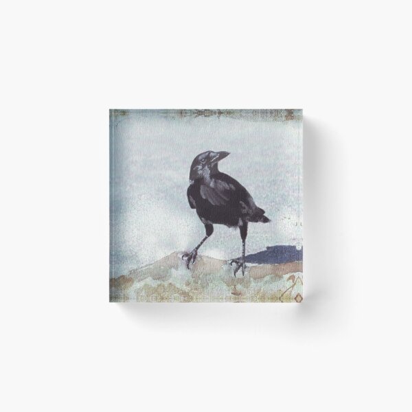Item preview, Crows are Keepers of the Sacred Law designed and sold by Maree Clarkson .