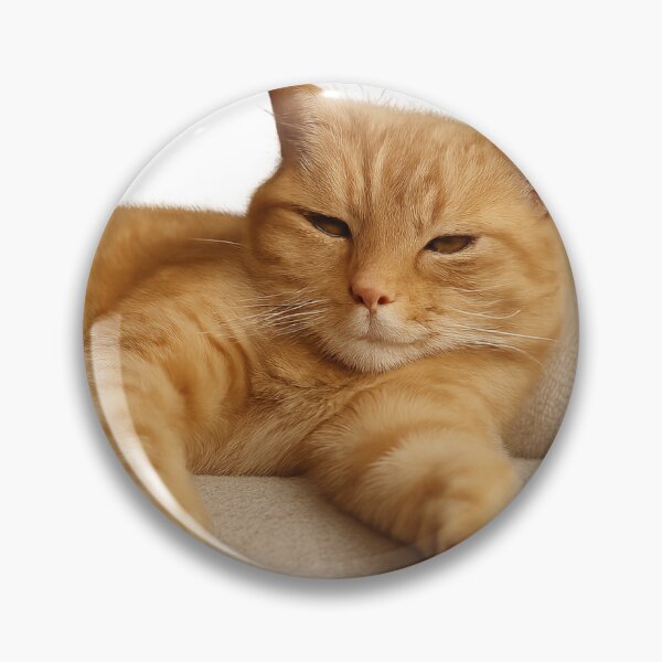 Item preview, Relaxed Orange Cat But My Cat Funny Design Meme Cute Cat Lover designed and sold by Cat-astrophes.