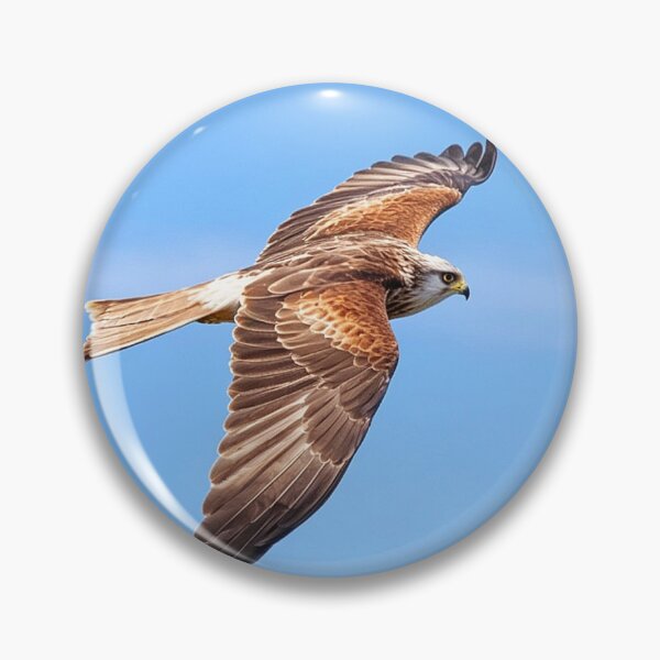 Item preview, The fly past designed and sold by missmoneypenny.