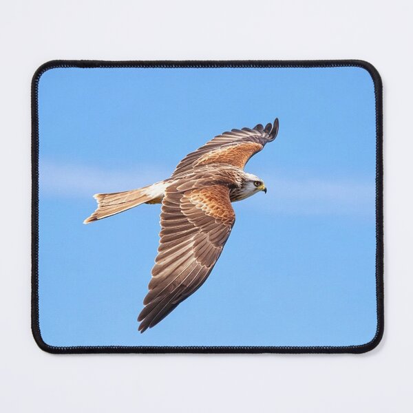 Item preview, The fly past designed and sold by missmoneypenny.
