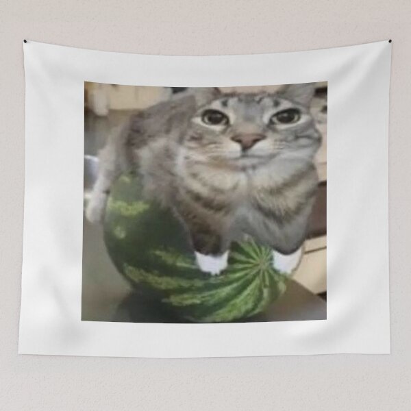 Item preview, round melon cat designed and sold by cloudzer0000.