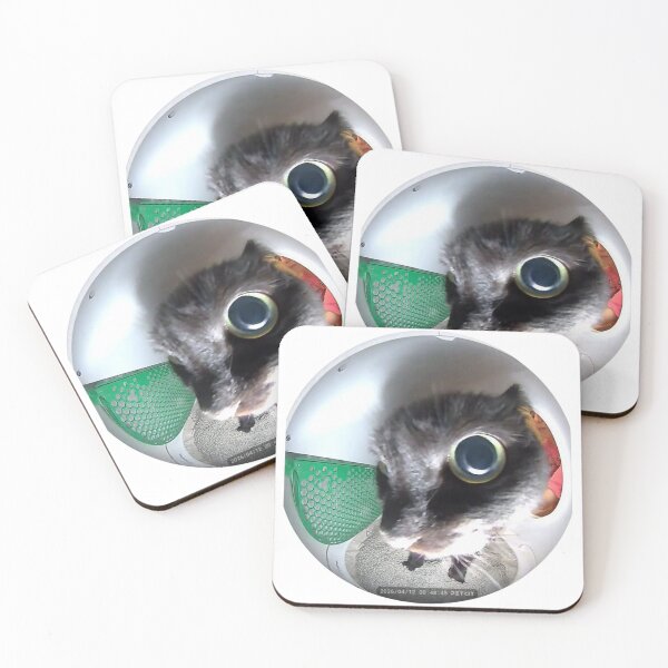 Item preview, eye to eye cat designed and sold by cloudzer0000.