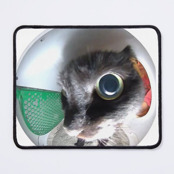 Item preview, eye to eye cat designed and sold by cloudzer0000.