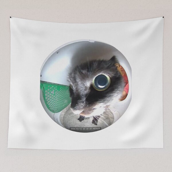 Item preview, eye to eye cat designed and sold by cloudzer0000.