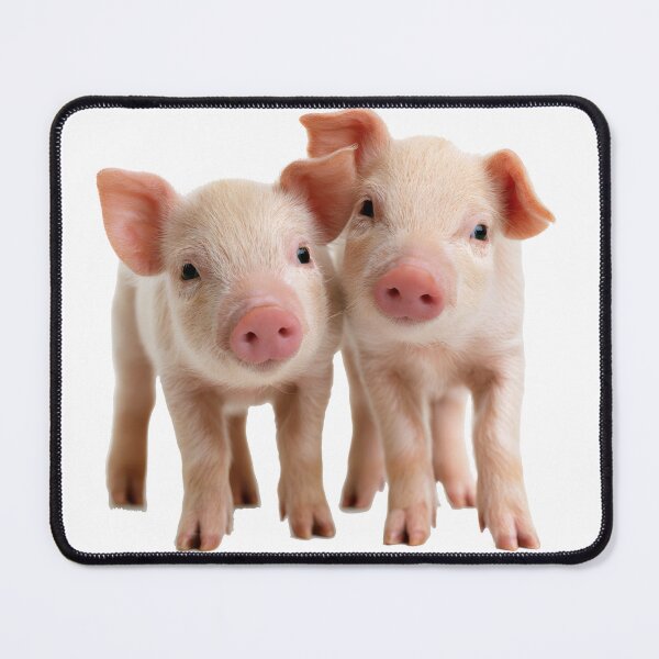 Item preview, Really cute pigs designed and sold by ArtfulPlay.
