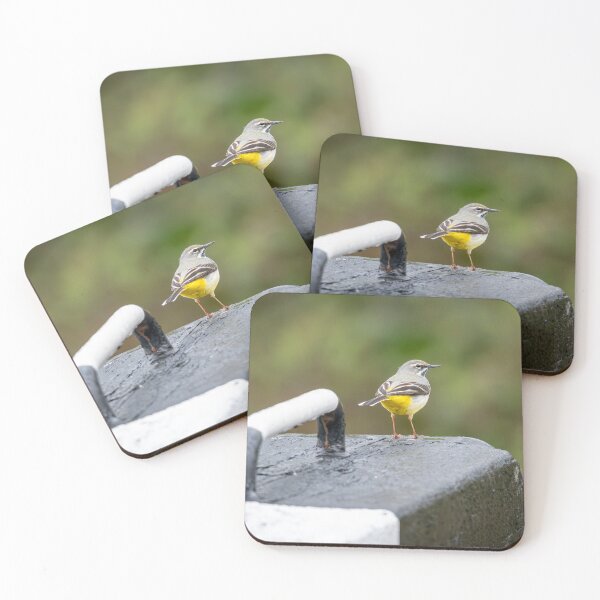 Item preview, Lavandera gris (Motacilla cinerea) designed and sold by Stephen Jarman.