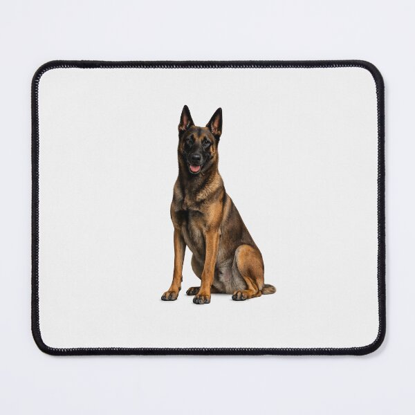 Item preview, Belgian Malinois Dog designed and sold by BackgroundND.