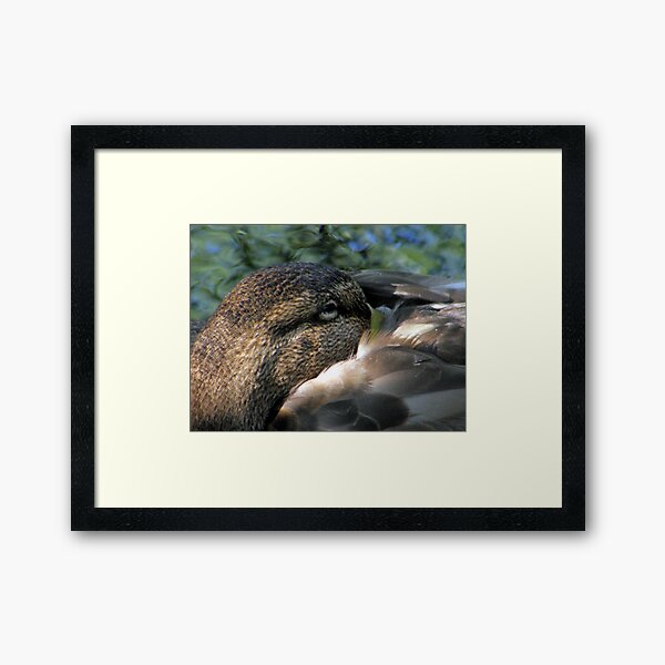 In La-La Land Framed Art Print