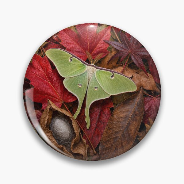 Item preview, Luna Moth on Autumn Leaves, Botanical Nature Art  designed and sold by bloom&trowel.