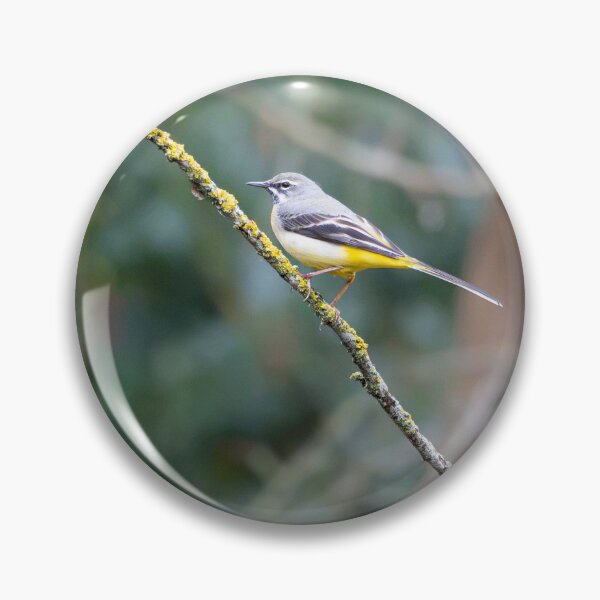 Item preview, Grey Wagtail (Motacilla cinerea)  designed and sold by Stephen Jarman.