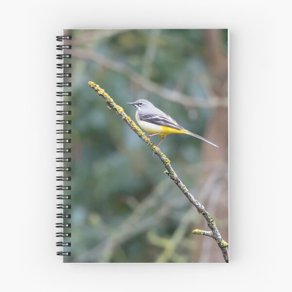 Item preview, Grey Wagtail (Motacilla cinerea)  designed and sold by Stephen Jarman.