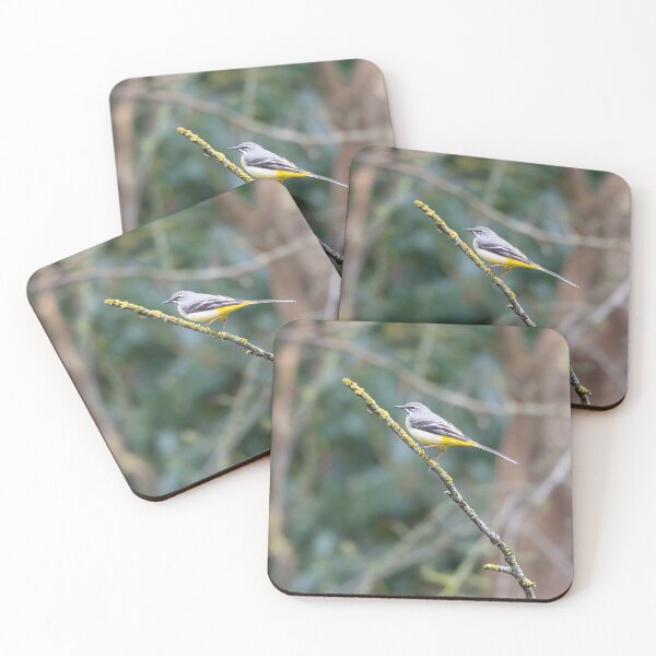Item preview, Lavandera gris (Motacilla cinerea) designed and sold by Stephen Jarman.
