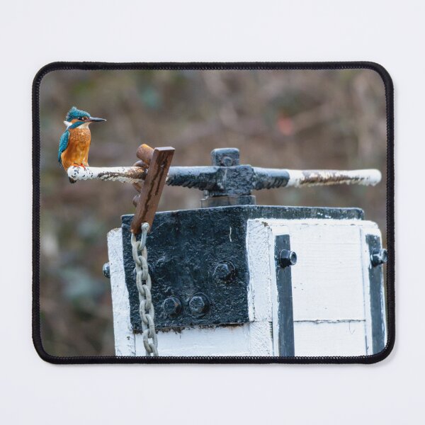 Item preview, Kingfisher (Alcedo atthis) sitting on a canal gate handle designed and sold by Stephen Jarman.