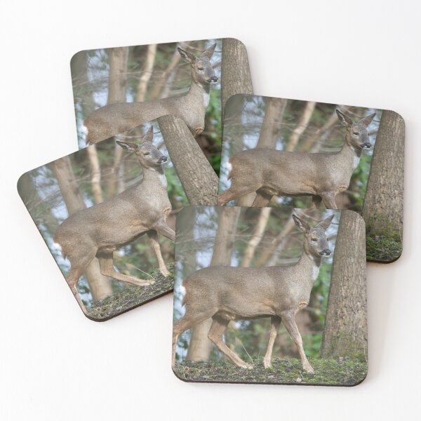 Item preview, Roe deer (Capreolus capreolus) designed and sold by Stephen Jarman.