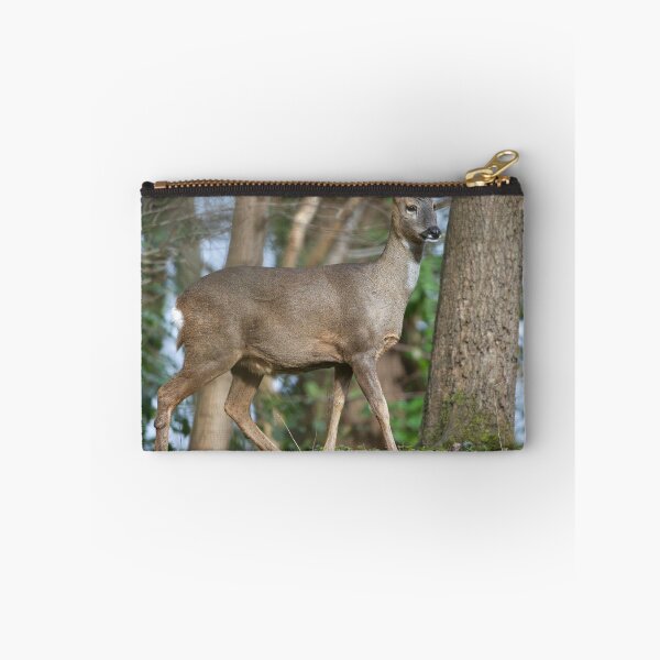 Item preview, Roe deer (Capreolus capreolus) designed and sold by Stephen Jarman.