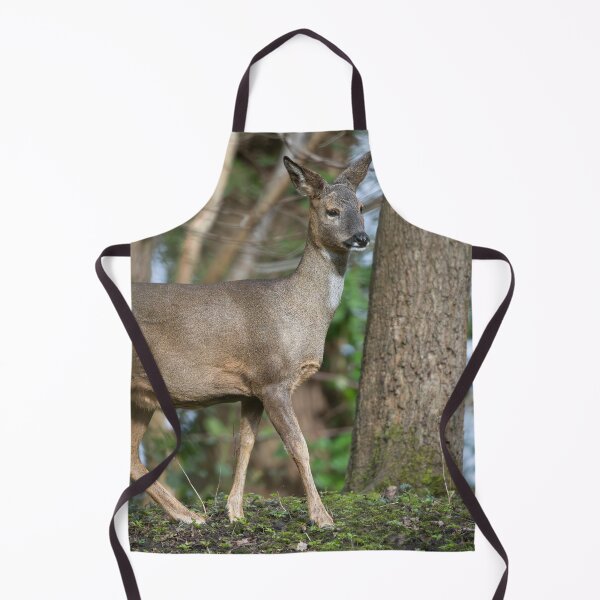 Item preview, Roe deer (Capreolus capreolus) designed and sold by Stephen Jarman.