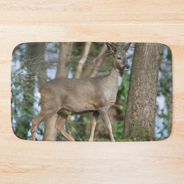 Item preview, Roe deer (Capreolus capreolus) designed and sold by Stephen Jarman.