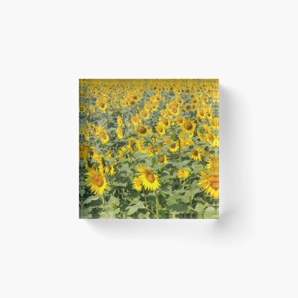 Item preview, Sunflower Fields Forever  designed and sold by GMTcreations.