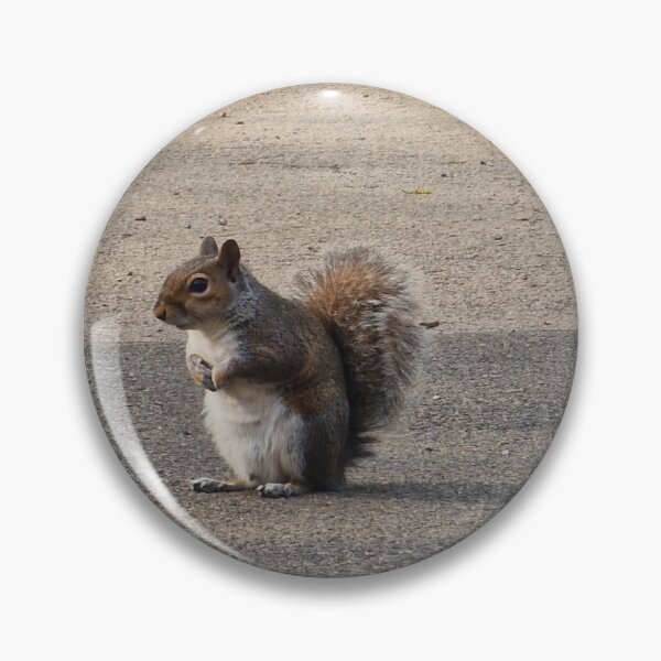 Item preview, Squirrels designed and sold by JcPix.