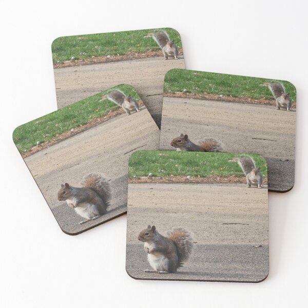 Item preview, Squirrels designed and sold by JcPix.