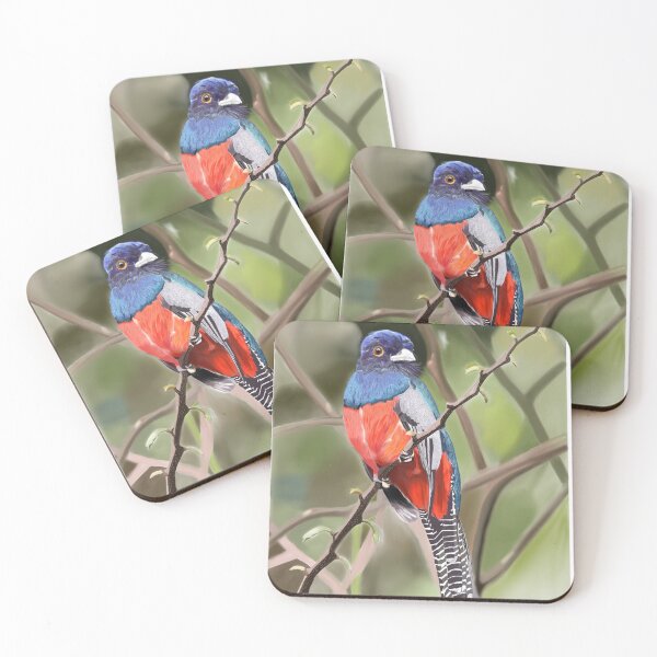 Item preview, Blue Crowned Trogon designed and sold by BampiDraws.