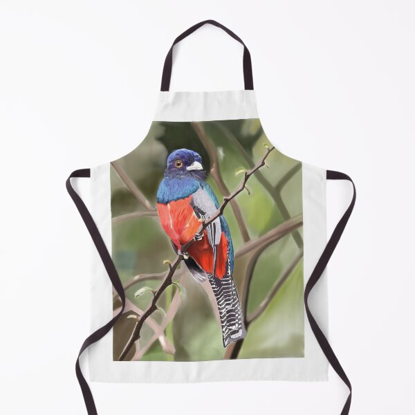 Item preview, Blue Crowned Trogon designed and sold by BampiDraws.