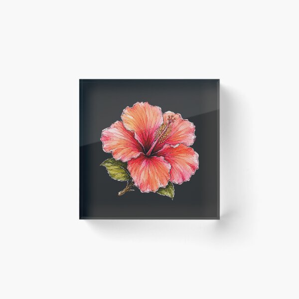 Item preview, Hand Drawn Hibiscus Watercolor Botanical Floral Illustration designed and sold by ColorSplash123.