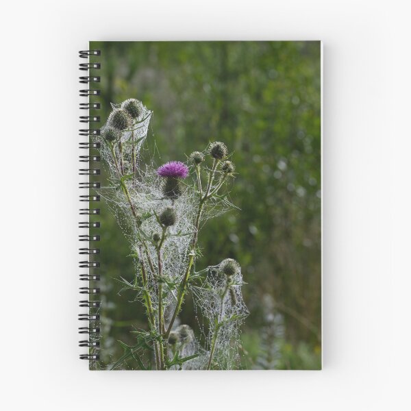 Item preview, Cobweb and Thistles designed and sold by carolmaia.