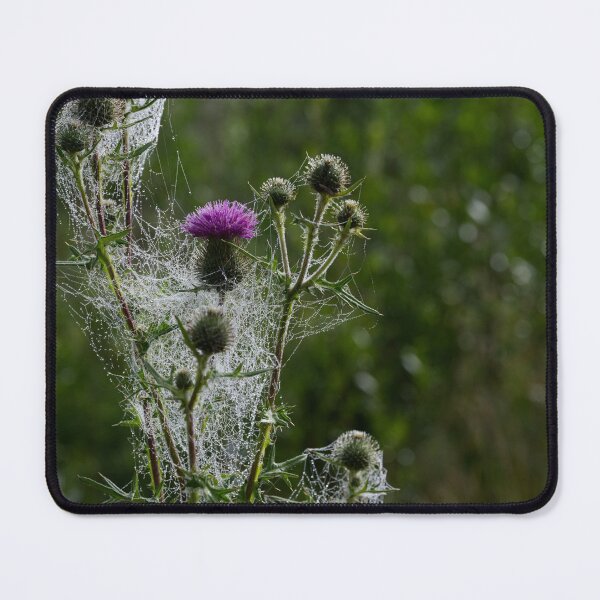 Item preview, Cobweb and Thistles designed and sold by carolmaia.