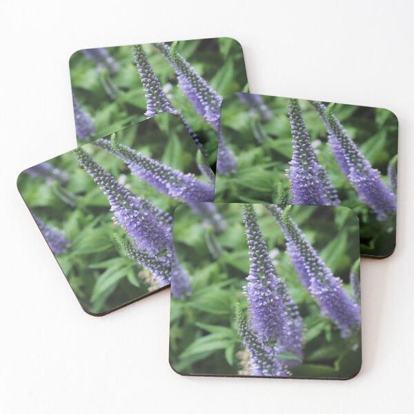 Item preview, Purple garden speedwell - Soft nature photography designed and sold by Cha-s-lens.