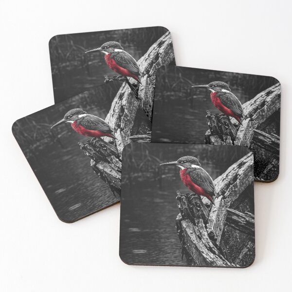 Item preview, Title Red Bird Selective Color Photography Wall Art designed and sold by MarCinu Art.