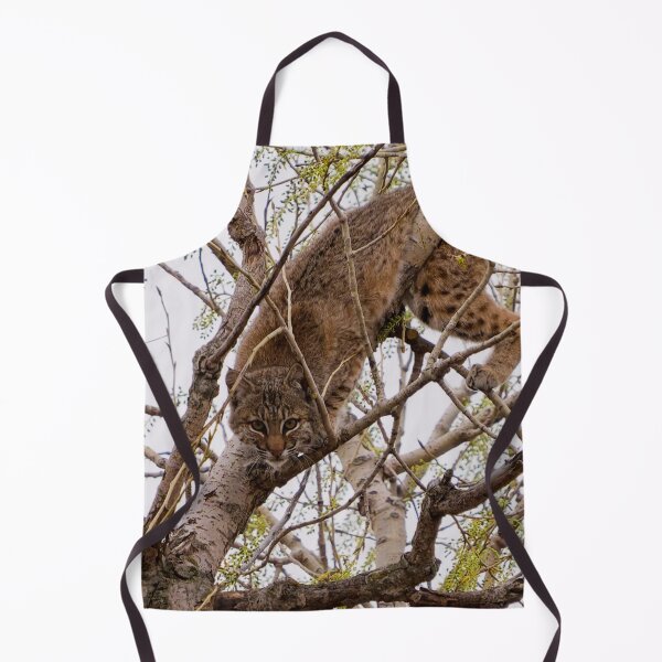 Item preview, Playing Peek-a-boo with a Bobcat designed and sold by South 500 Photography.