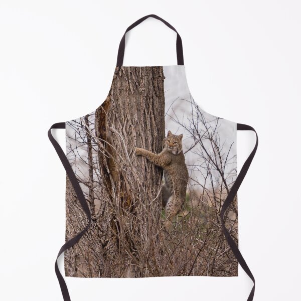Item preview, Bobcat Hugging a large Cottonwood Tree designed and sold by South 500 Photography.