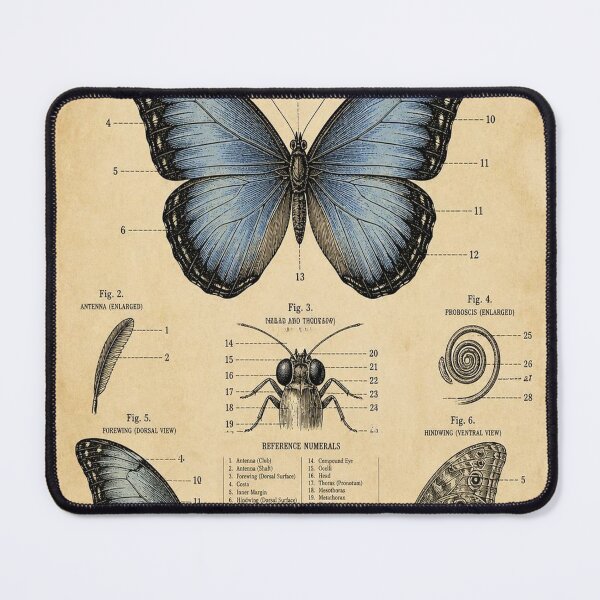 Item preview, Blue Morpho Butterfly Vintage Patent designed and sold by SunnyDesign82.