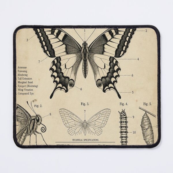 Item preview, Swallowtail Butterfly Vintage Patent designed and sold by SunnyDesign82.