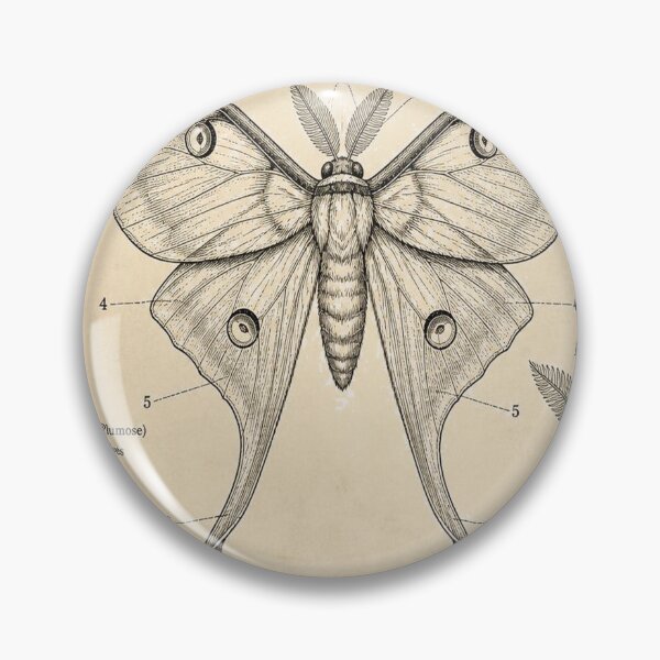 Artikelvorschau, Luna Moth Vintage Patent entworfen und verkauft von SunnyDesign82.