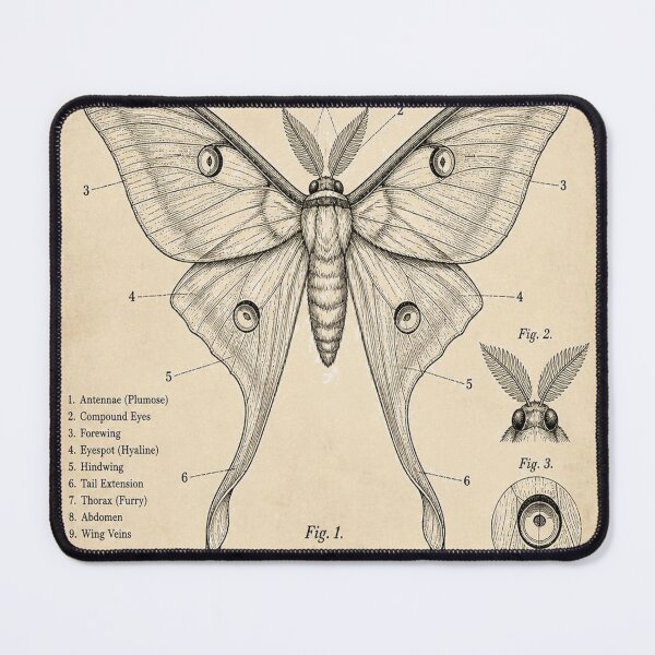 Item preview, Luna Moth Vintage Patent designed and sold by SunnyDesign82.