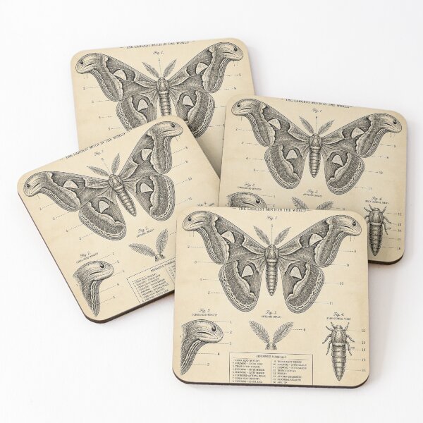 Artikelvorschau, Atlas Moth Vintage Patent entworfen und verkauft von SunnyDesign82.