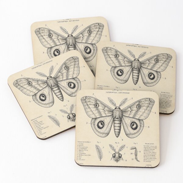 Artikelvorschau, Io Moth Vintage Patent entworfen und verkauft von SunnyDesign82.