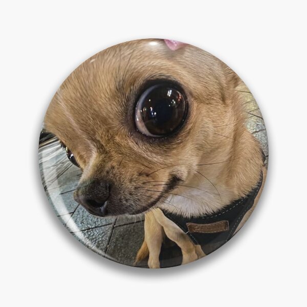Item preview, hilarious chihuahua designed and sold by ebransford.