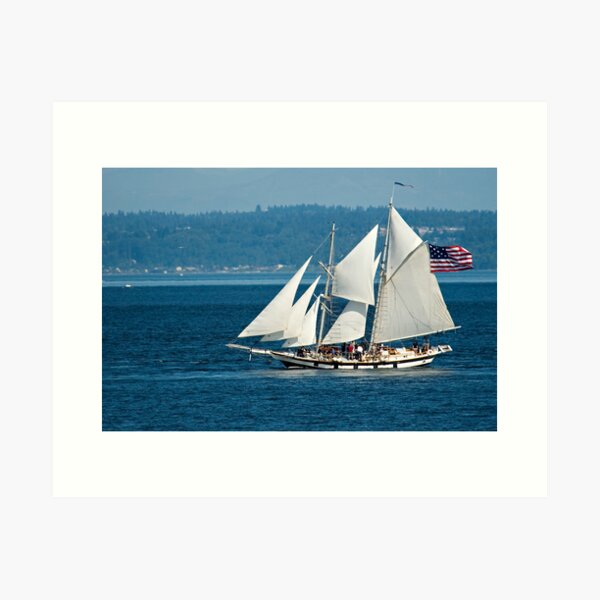 Item preview, Sails Set & Full designed and sold by Buzzimage.